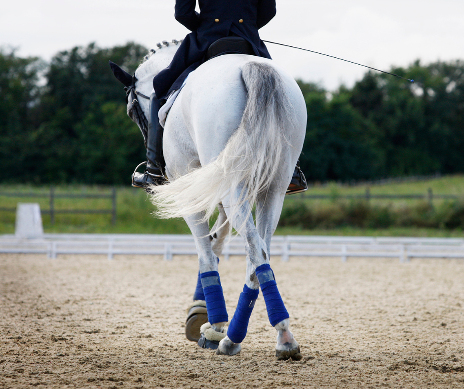 What's 5 things you and your horse would learn with Pole Dressage?