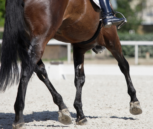 Is Pole Dressage a system?