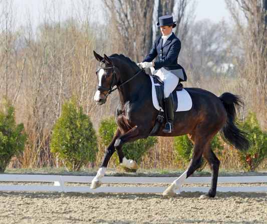 Will Pole Dressage advance my English horse?