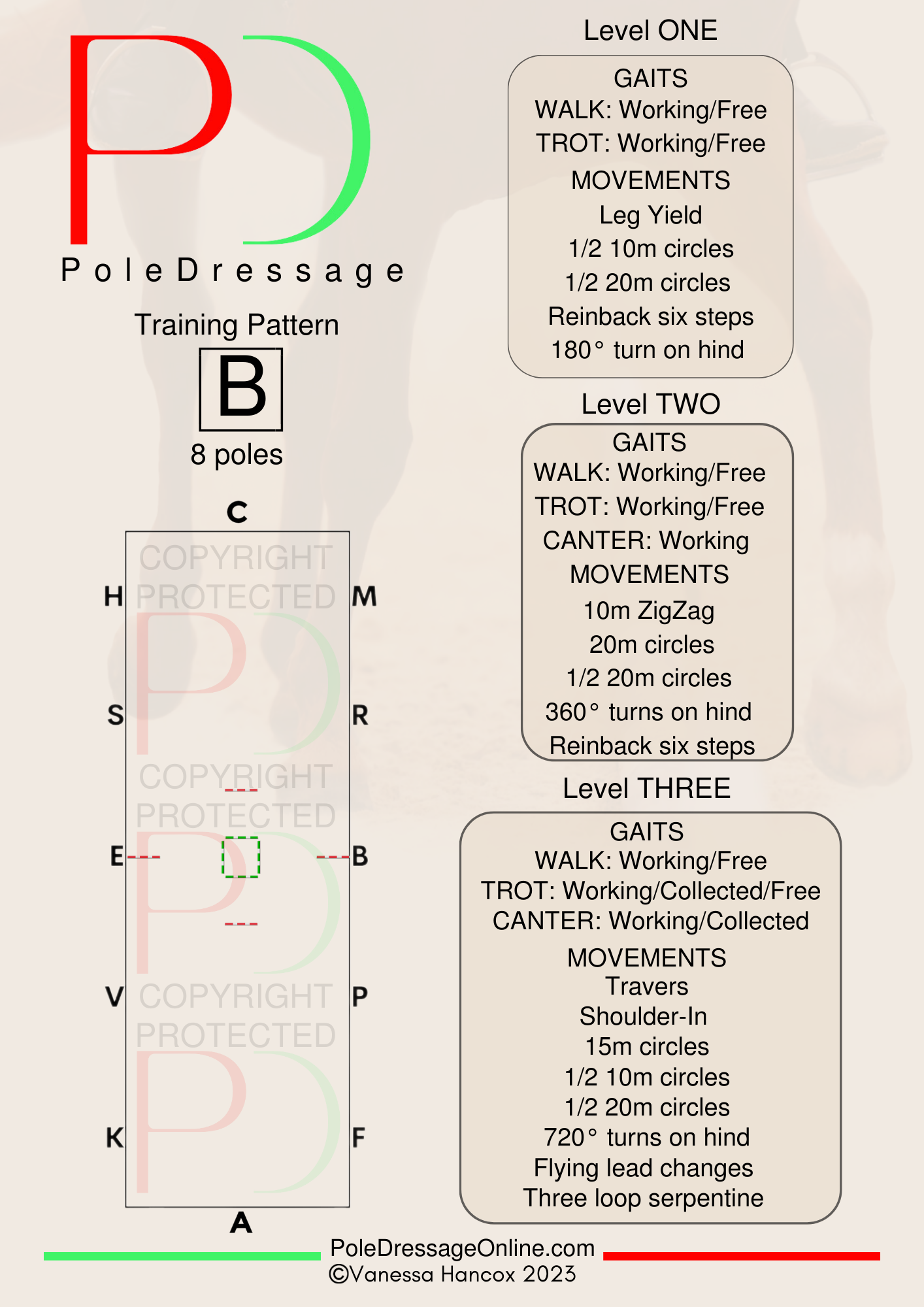 Level 1 B 8 Poles Training Pattern Pole Dressage – Pole Dressage Online