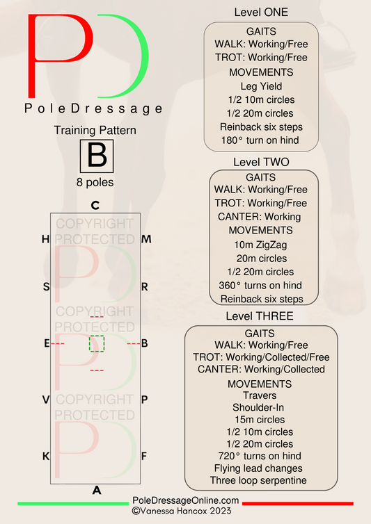 Level 1 B 8 Poles Training Pattern Pole Dressage