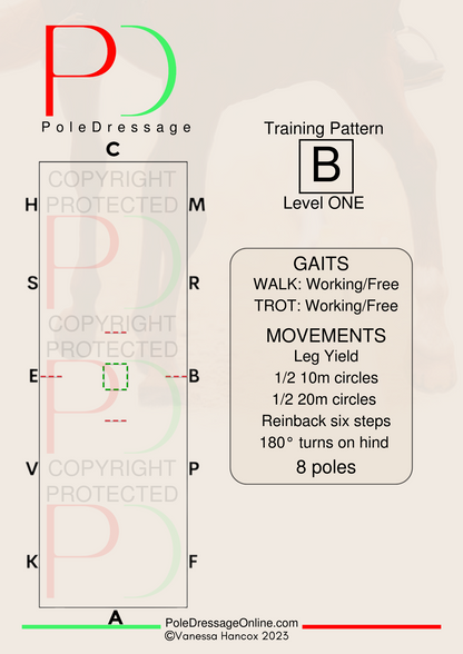 Level 1 B 8 Poles Training Pattern Pole Dressage