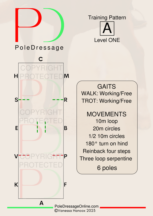 LEVEL 1 A 6 Poles Training Pattern Pole Dressage