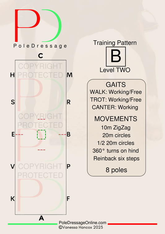 Level 2 B 8 Poles Training Pattern Pole Dressage