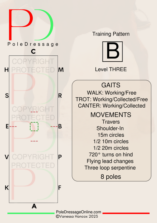 Level 3 B 8 Poles Training Pattern Pole Dressage