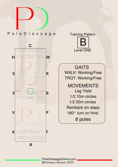 Free download levels A,.B,C,D,E pattern layout. Gaits and Movement guide