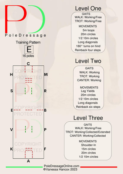 Free download levels A,.B,C,D,E pattern layout. Gaits and Movement guide