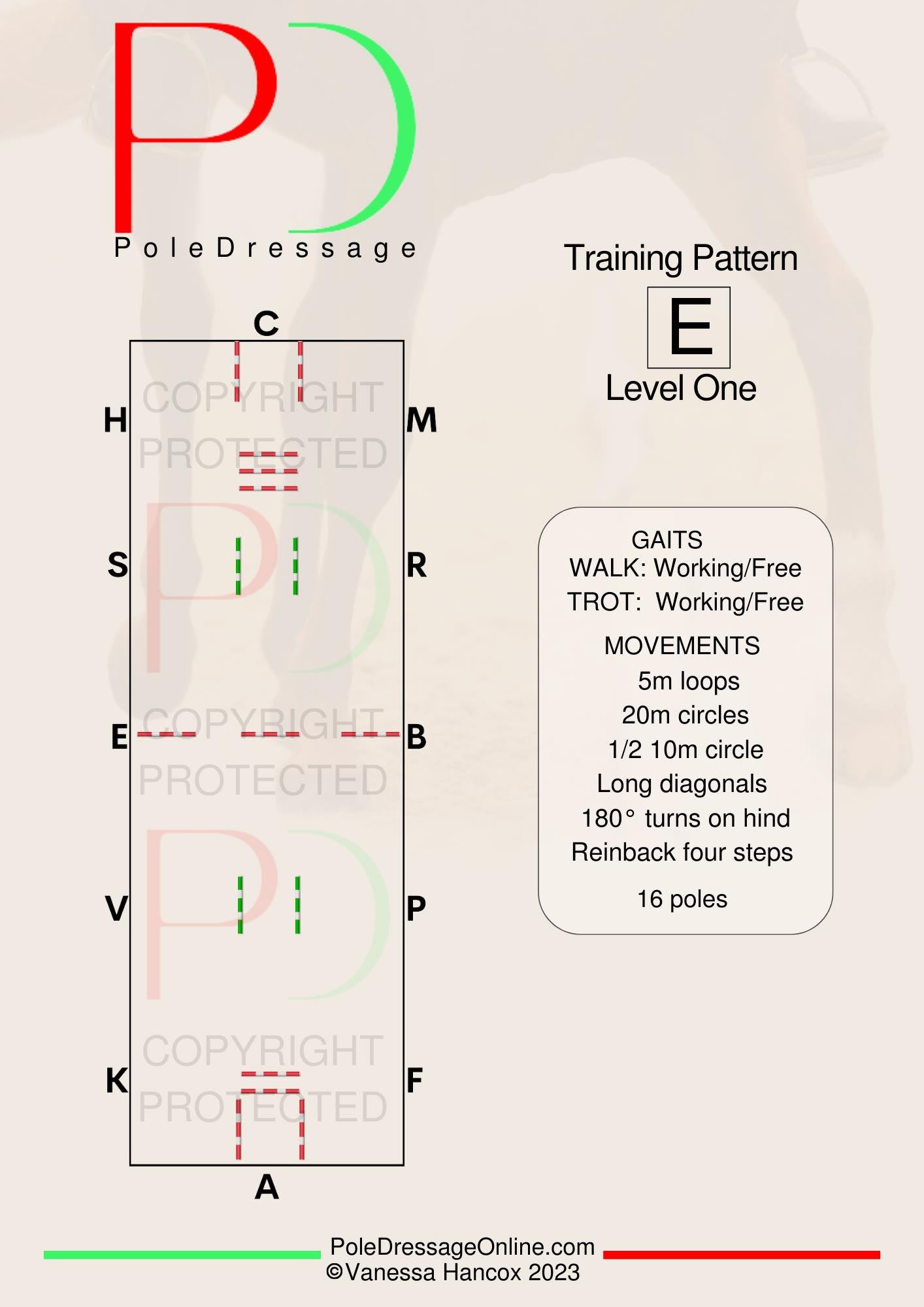 Level 1 E  Training 16 Poles Training Pattern Pole Dressage