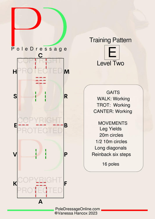 Level 2 E 16 Poles Training Pattern Pole Dressage