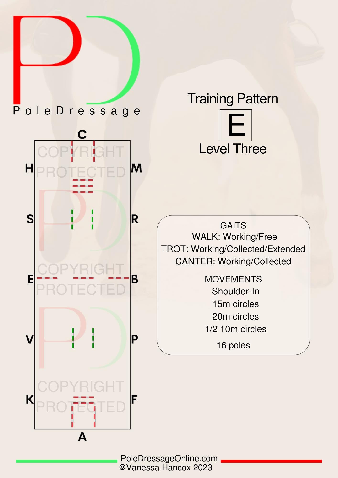 Level 3 E 16 poles Poles Training Pattern Pole Dressage