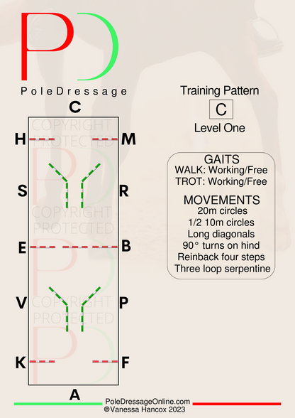 Level 1  C 15 Poles Training Pattern Pole Dressage